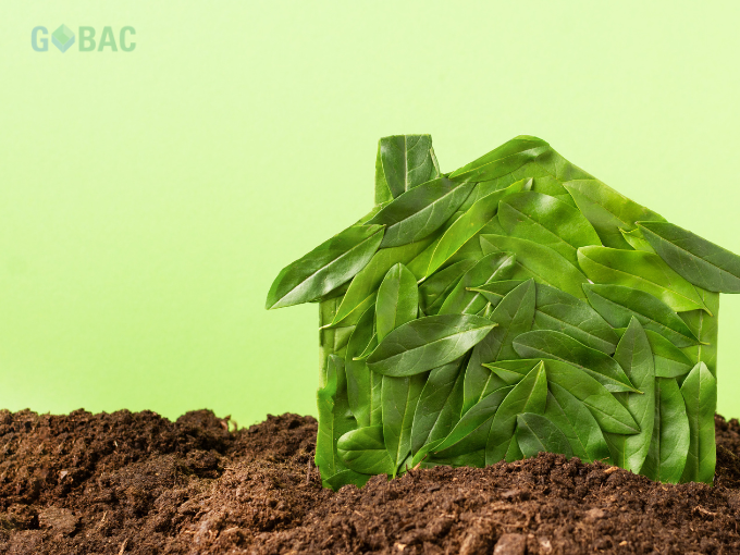 La Location de Boîtes Une Option Économique et Écologique pour Déménager