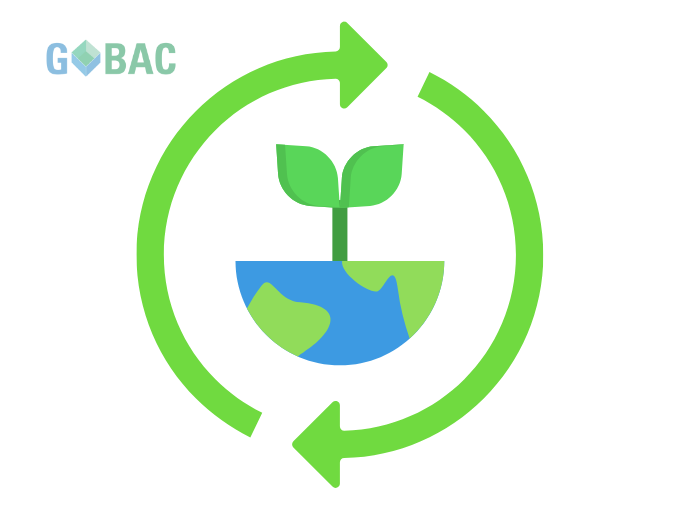 Les Boîtes GoBac Une Solution Pratique et Écologique pour Entreposer Vos Biens