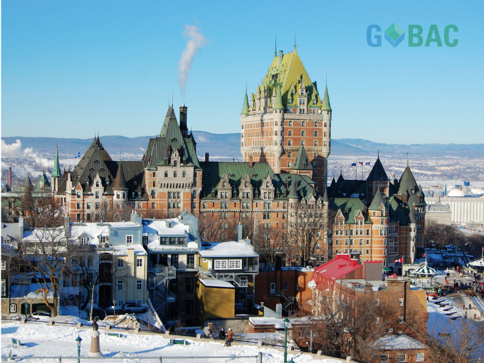 GoBac La Solution Québécoise pour Déménager Zen