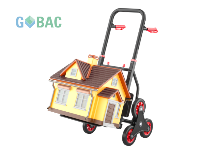 Boîtes pour Archivage Une Solution Pratique et Propre