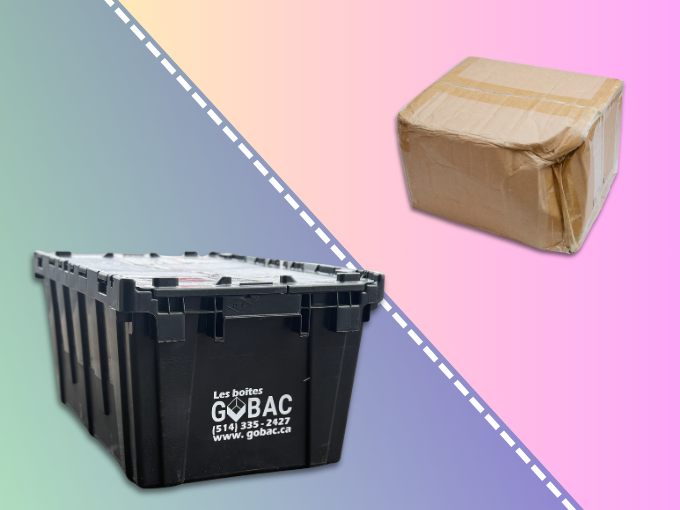 Comparatif Écolo Boîtes en Carton vs Boîtes GoBac