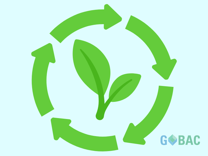 Déménagement Durable Nos Engagements Écologiques